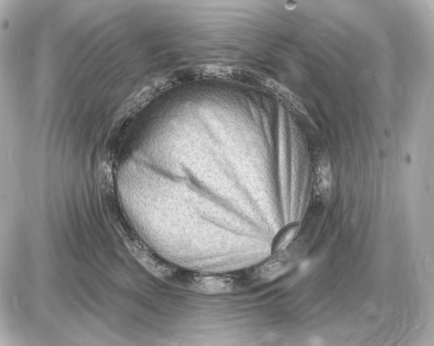 X0000087550522200705112124