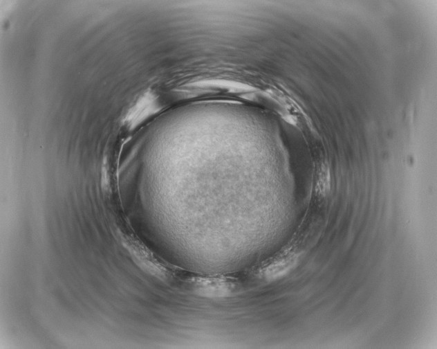 X0000087550524200705112124