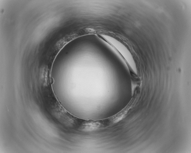 X0000087550525200705112124