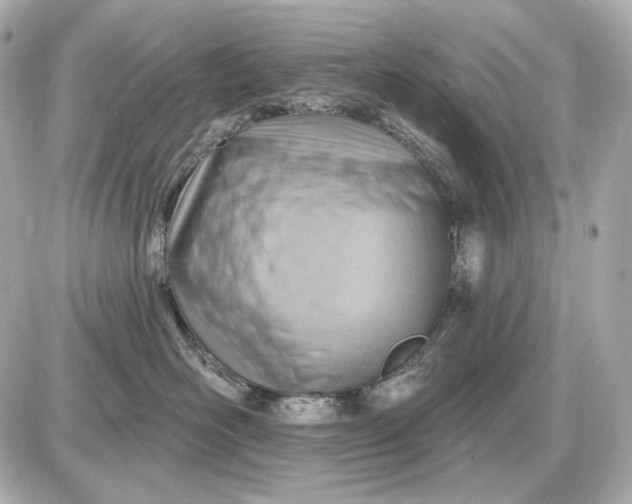 X0000087550526200705112124