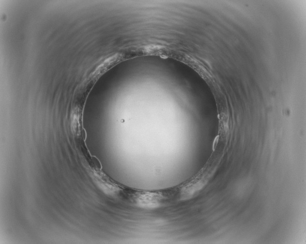 X0000087550527200705112124