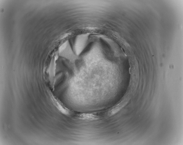 X0000087550528200705112124