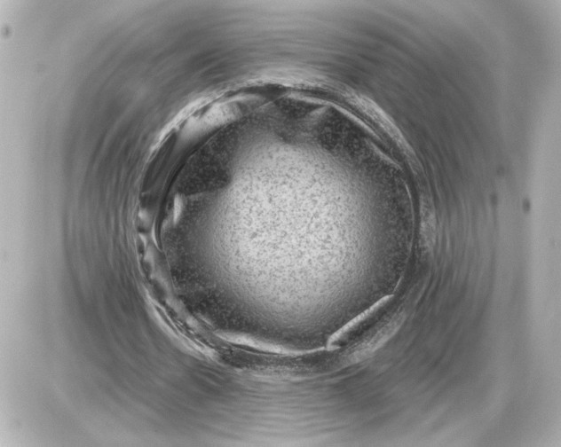 X0000087550530200705112124