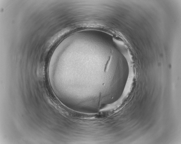 X0000087550531200705112124