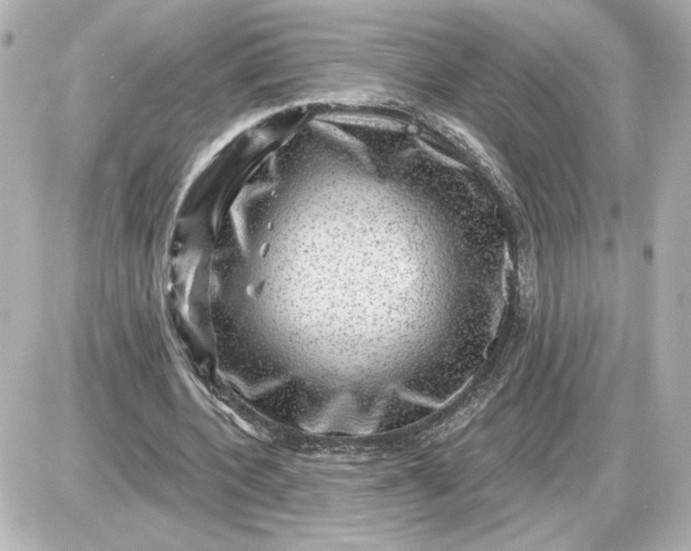 X0000087550532200705112124