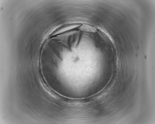 X0000087550533200705112124