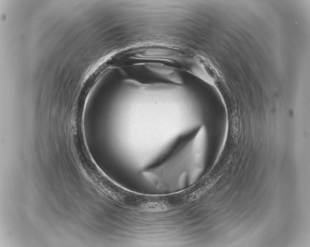 X0000087550536200705112124