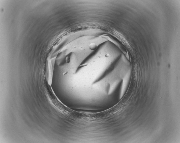 X0000087550538200705112124