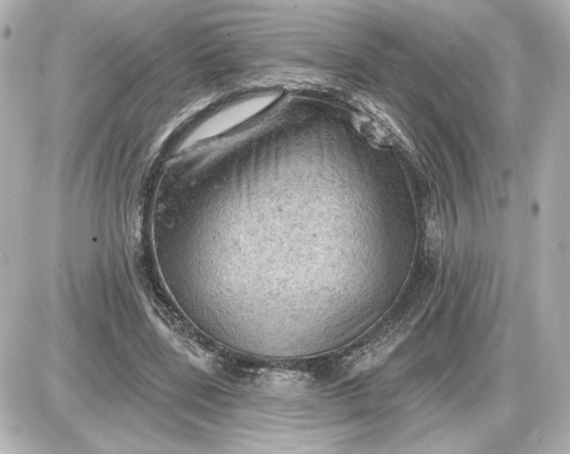 X0000087550539200705112124