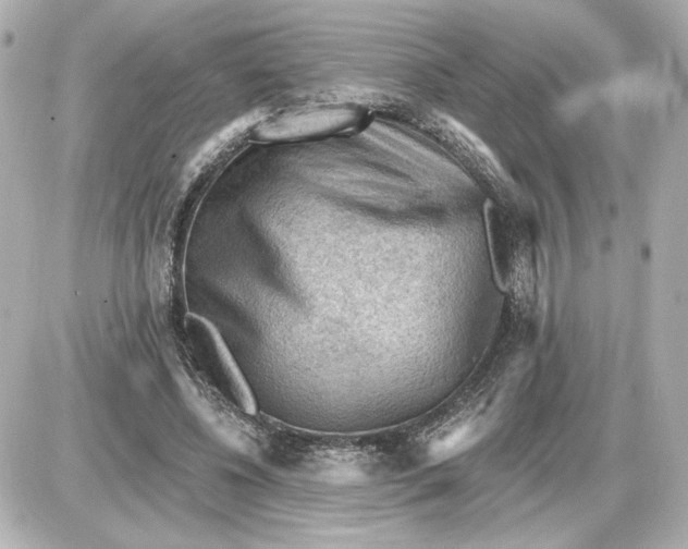 X0000087550540200705112124