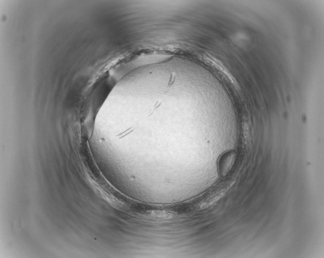 X0000087550541200705112124