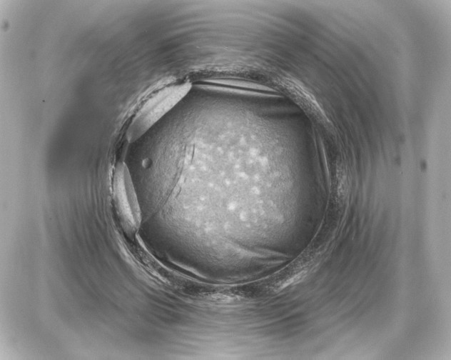 X0000087550542200705112124