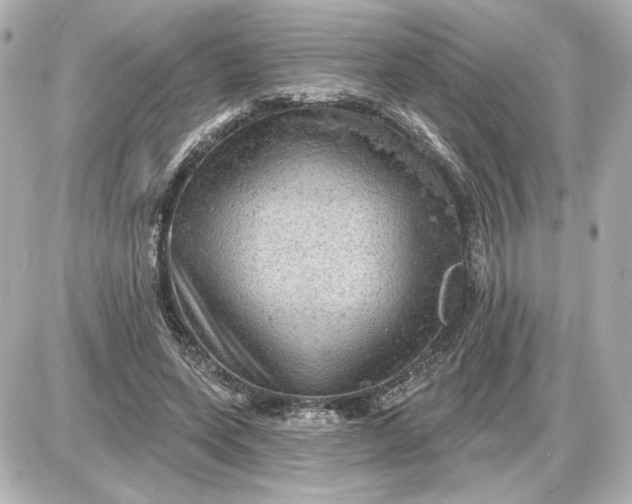 X0000087550543200705112124