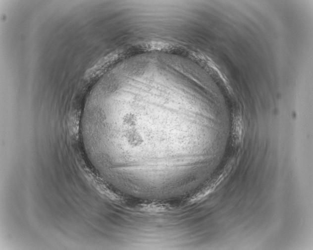 X0000087550545200705112124