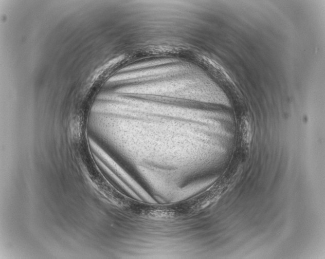 X0000087550546200705112124