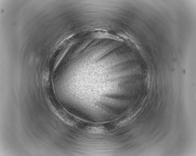 X0000087550548200705112124