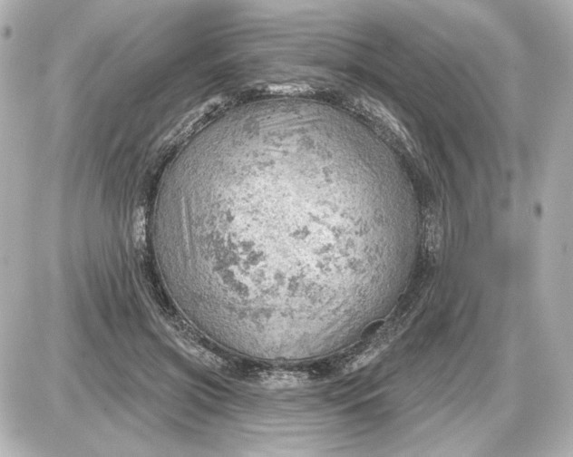 X0000087550549200705112124