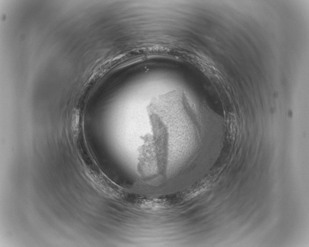 X0000087550550200705112124