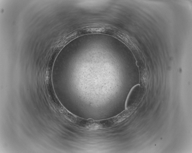 X0000087550551200705112124