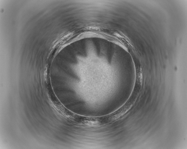 X0000087550552200705112124