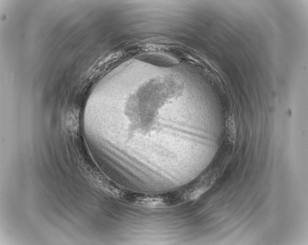 X0000087550554200705112124