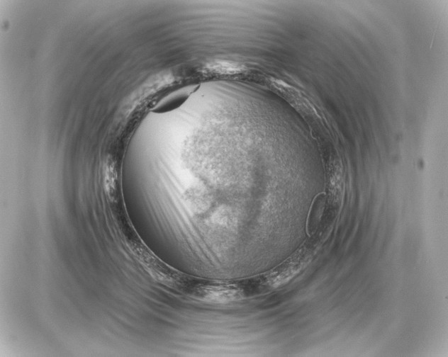 X0000087550555200705112124