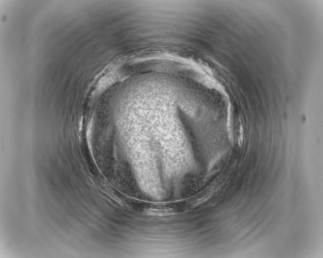 X0000087550556200705112124