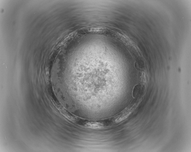 X0000087550557200705112124