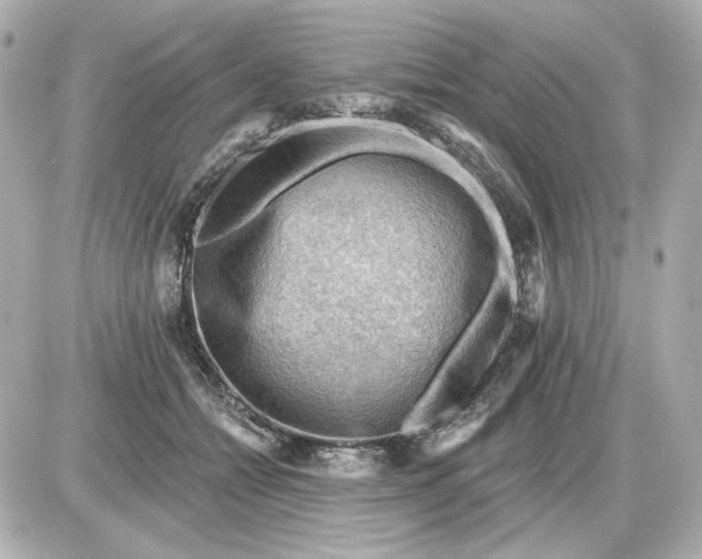 X0000087550558200705112124