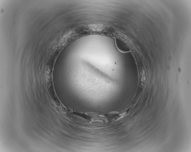 X0000087550559200705112124