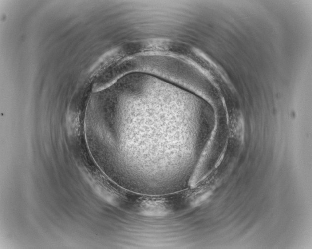 X0000087550560200705112124