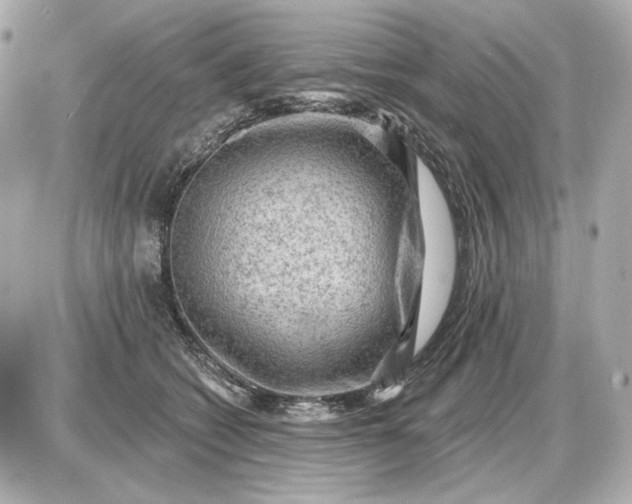 X0000087550562200705112124