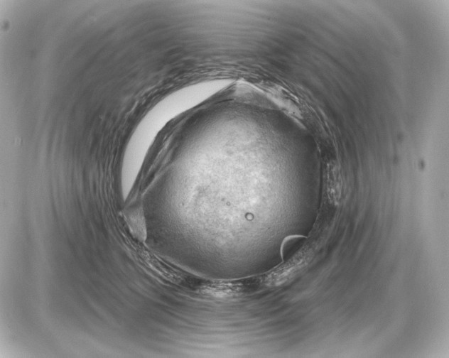 X0000087550563200705112124