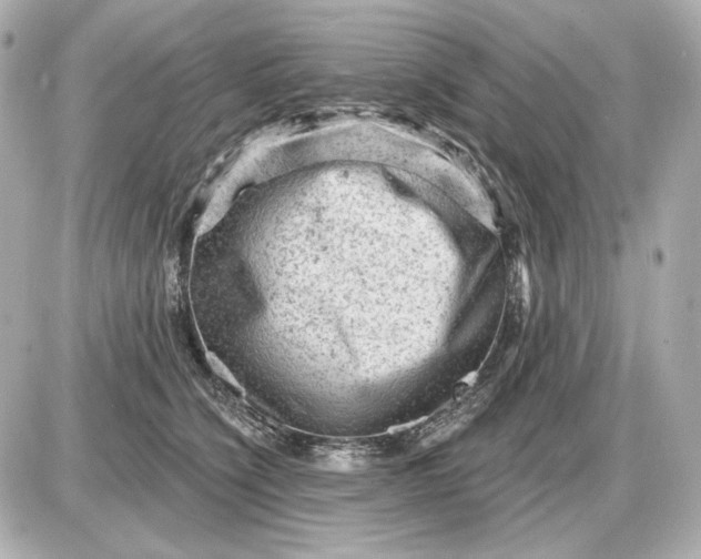 X0000087550564200705112124