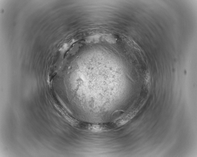 X0000087550565200705112124