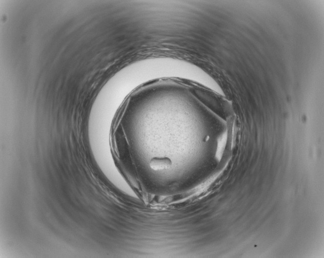 X0000087550566200705112124