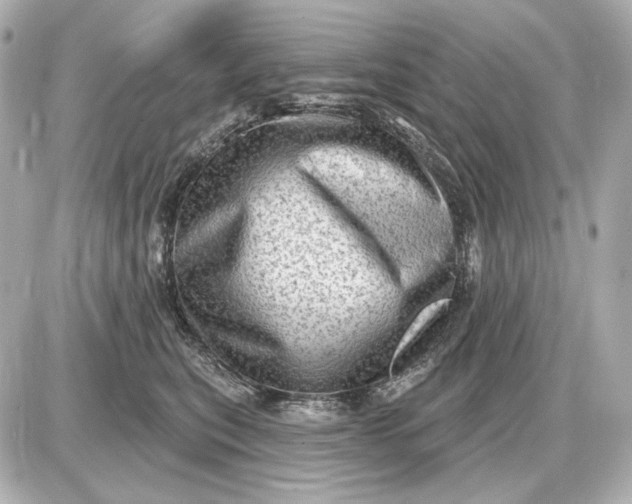 X0000087550567200705112124