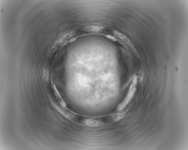 X0000087550568200705112124