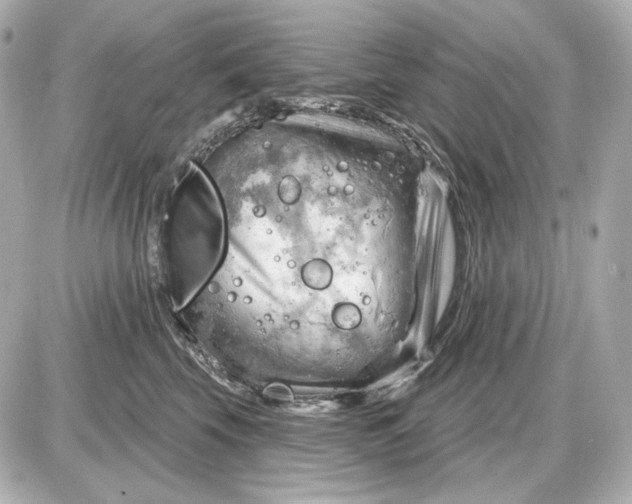 X0000087550569200705112124