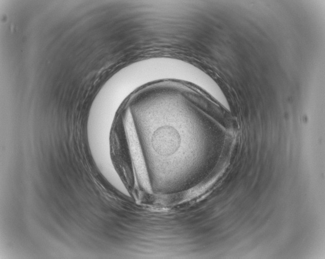 X0000087550570200705112124