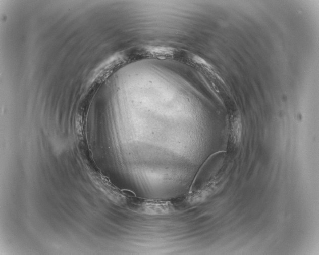 X0000087550571200705112124