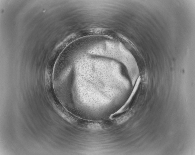 X0000087550572200705112124