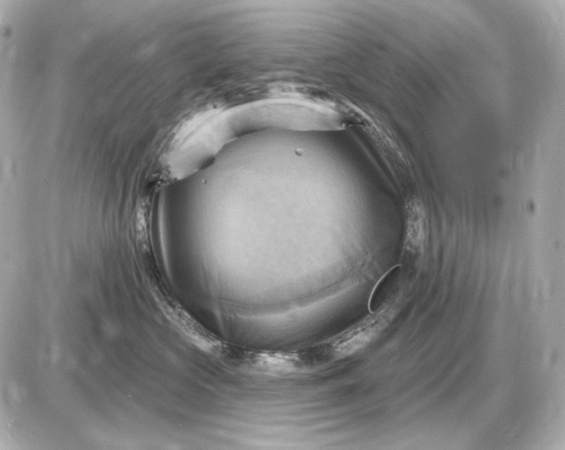 X0000087550573200705112124