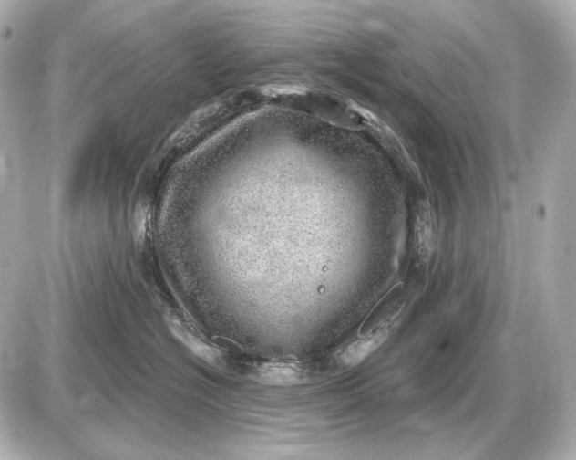 X0000087550574200705112124