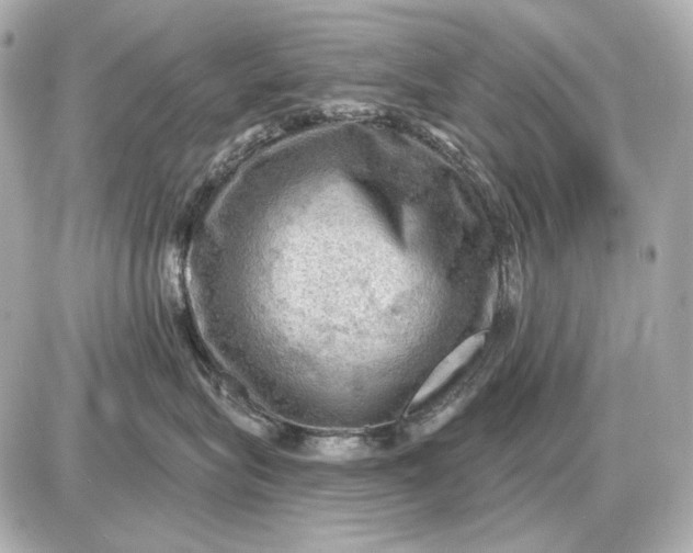 X0000087550575200705112124