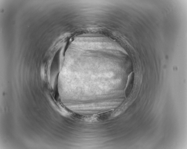 X0000087550576200705112124