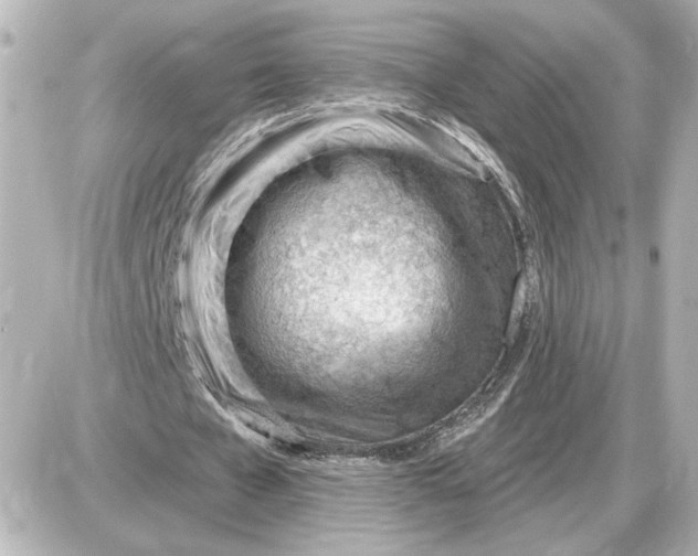 X0000087550577200705112124