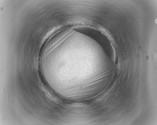 X0000087550578200705112124