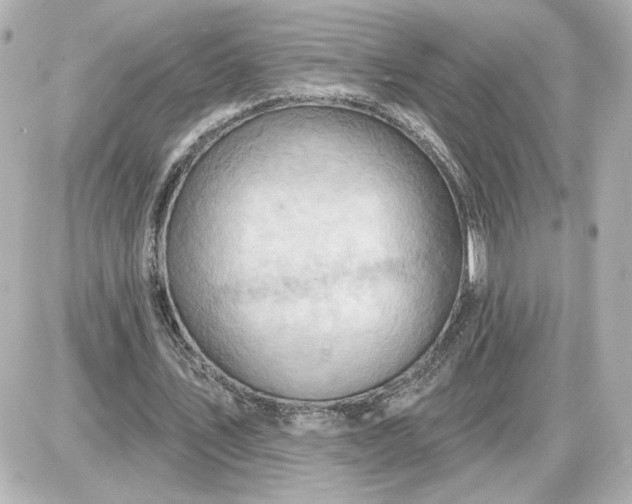 X0000087550579200705112124