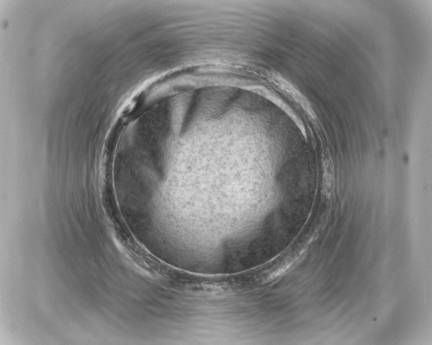 X0000087550580200705112123